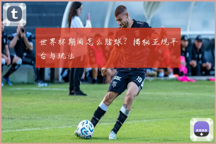 世界杯期间怎么赌球?揭秘正规平台与玩法