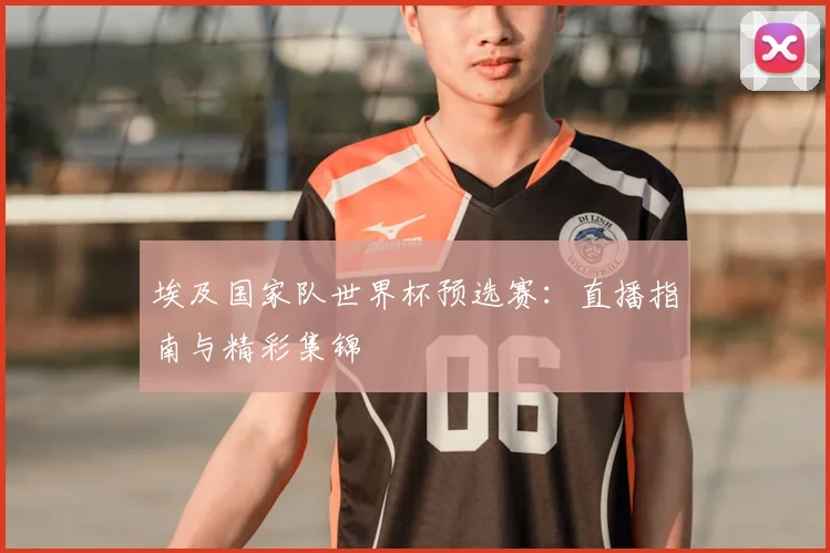 埃及国家队世界杯预选赛：直播指南与精彩集锦