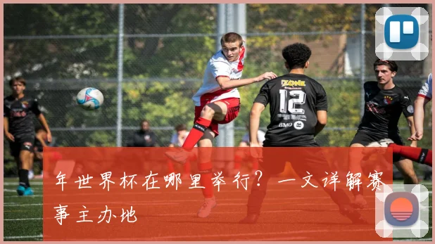 年世界杯在哪里举行?一文详解赛事主办地