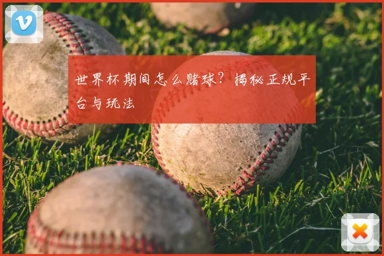 世界杯期间怎么赌球?揭秘正规平台与玩法