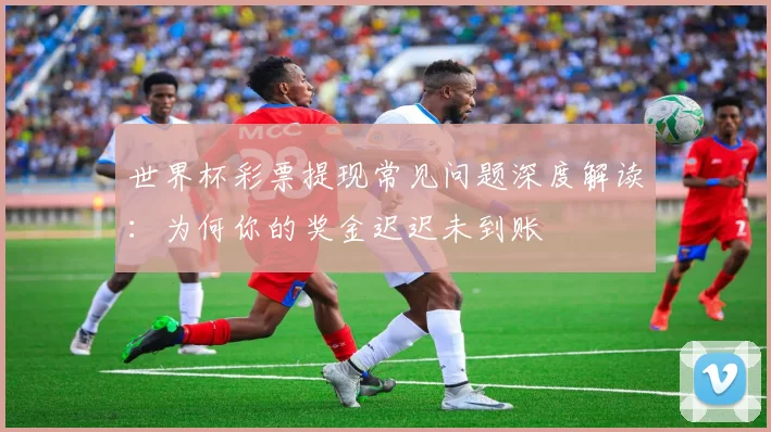 世界杯彩票提现常见问题深度解读：为何你的奖金迟迟未到账
