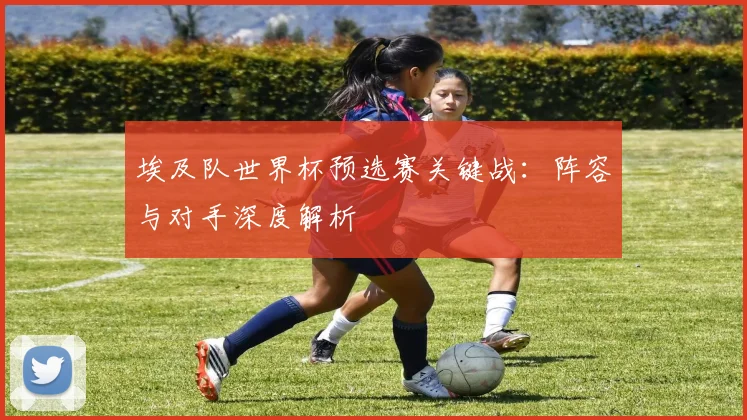 埃及队世界杯预选赛关键战：阵容与对手深度解析